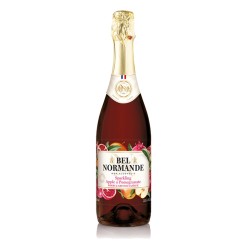 Sparkling Pomegranate Apple Juice