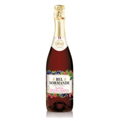 Sparkling Raspberry Juice
