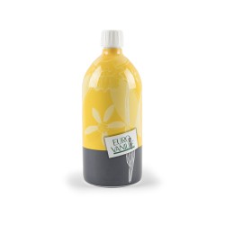 Natural Vanilla Flavour